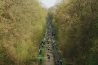 Aerial view of riders on a cobbled sector at the Paris-Roubaix Challenge